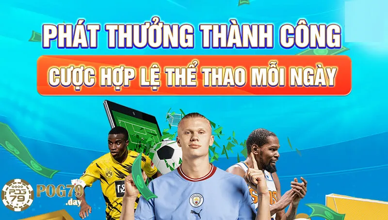 Tại Sao Thể Thao Pog79 Là Lựa Chọn Hàng Đầu?